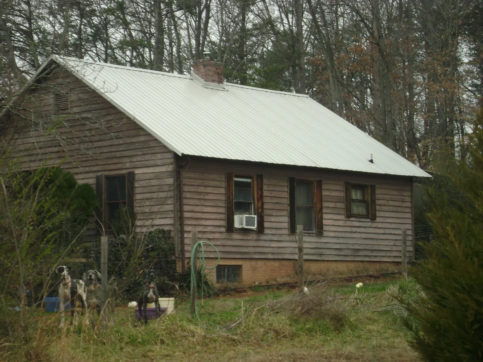 White metal roof on an old wood sided farmhouse, from a Metal Roof Installation job in Lodi